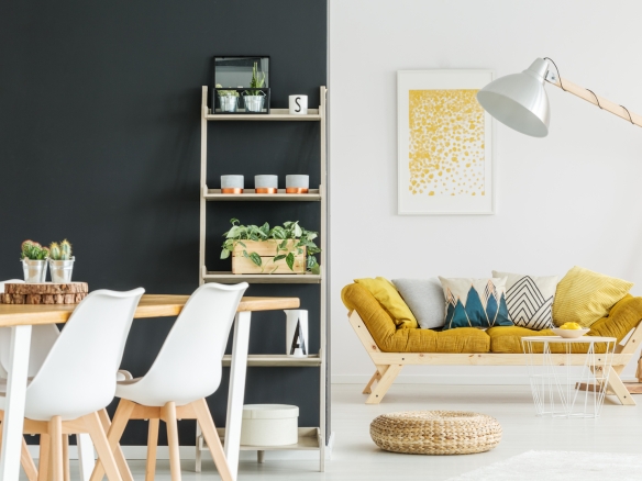 plants on shelves